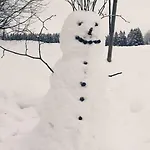 Zeitlos, Gigantischer Seeblick, Wlan, Gerne Mit Hund * Winterberg