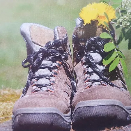 Zeitlos, Gigantischer Seeblick, Wlan, Gerne Mit Hund Apartment *