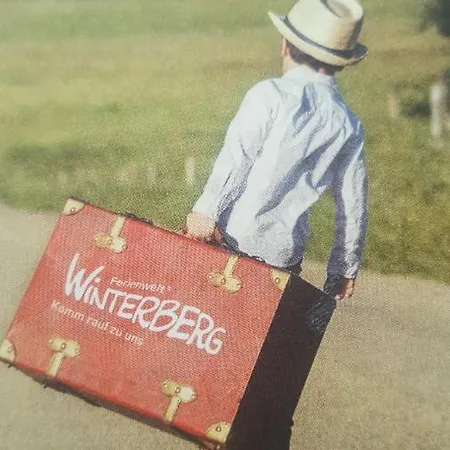 Апартаменты Zeitlos, Gigantischer Seeblick, Wlan, Gerne Mit Hund Винтерберг