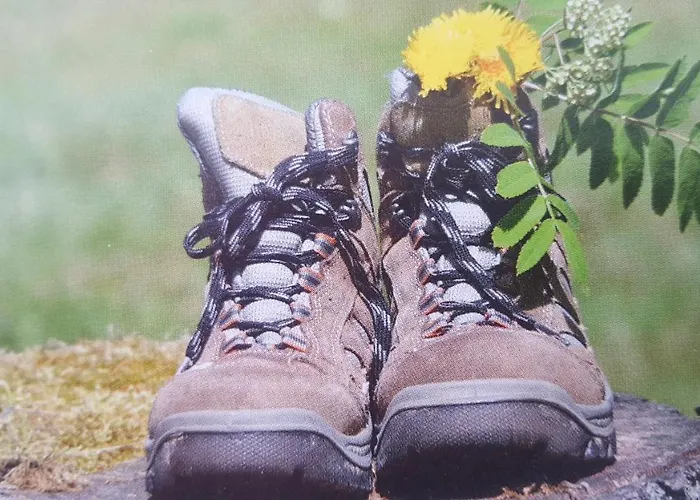Zeitlos, Gigantischer Seeblick, Wlan, Gerne Mit Hund 아파트 *