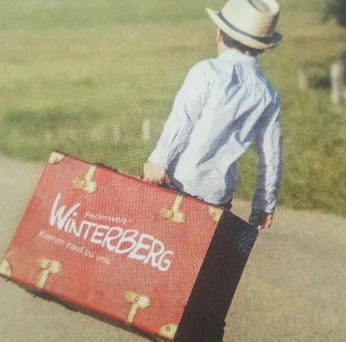 Apartman Zeitlos, Gigantischer Seeblick, Wlan, Gerne Mit Hund Winterberg