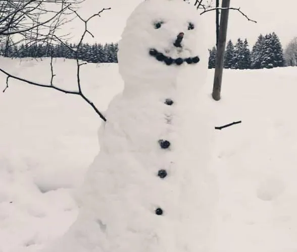 Zeitlos, Gigantischer Seeblick, Wlan, Gerne Mit Hund * 빈터베르크