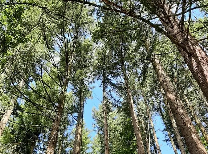 شقة Zeitlos, Gigantischer Seeblick, Wlan, Gerne Mit Hund *