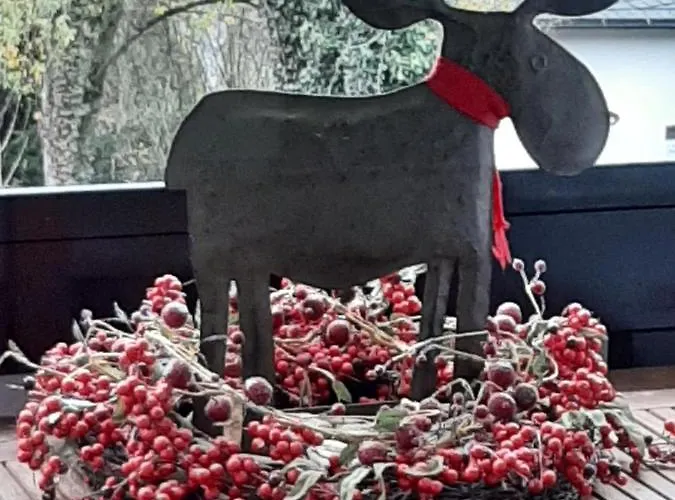 Zeitlos, Gigantischer Seeblick, Wlan, Gerne Mit Hund *